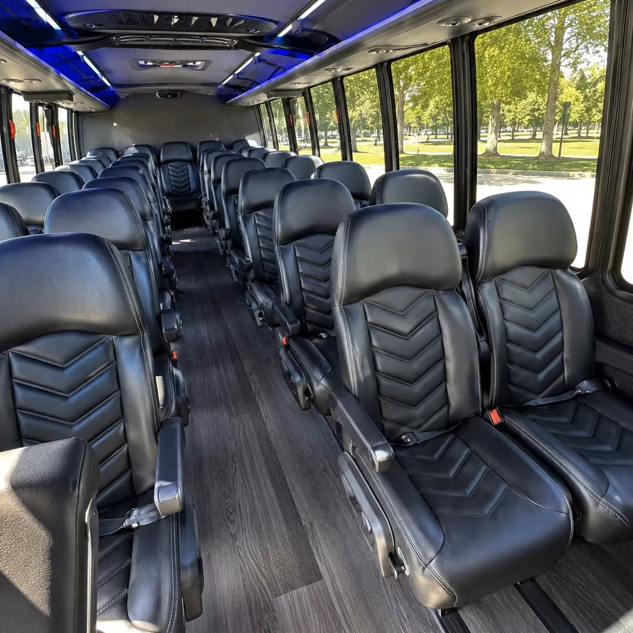 hammond 28 passenger minibus rental